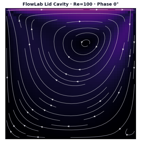 FlowLab unsteady lid-driven cavity vortex evolution animation